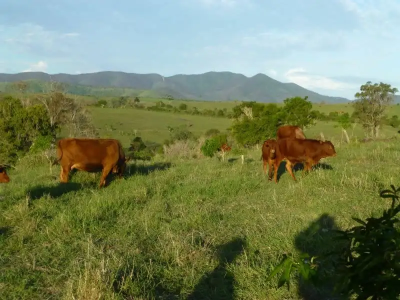 Main view of Homely rural property listing, Address available on request