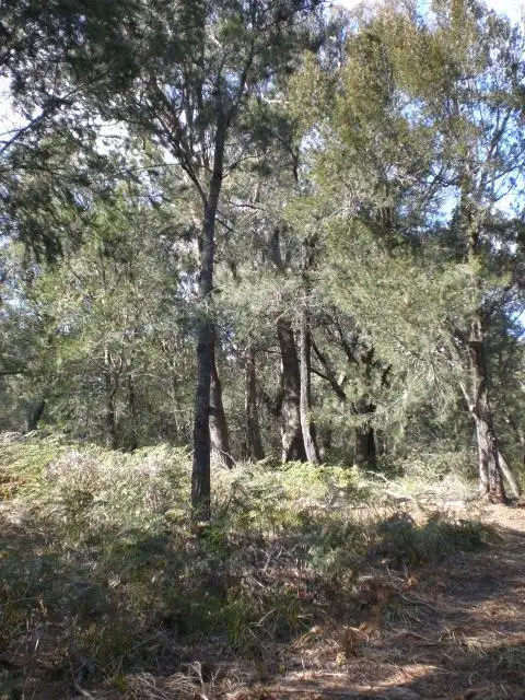 Sixth view of Homely land listing, Address available on request