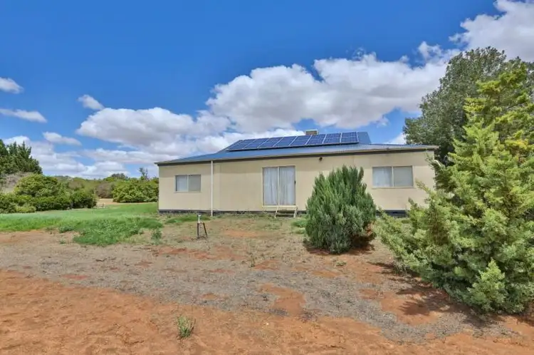Main view of Homely house listing, 493 Quena Street, Red Cliffs VIC 3496