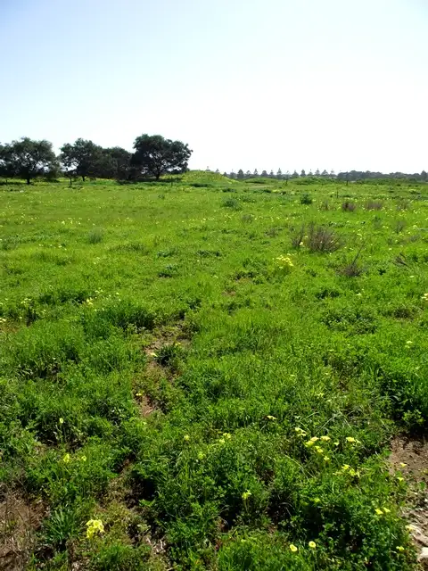 Second view of Homely land listing, LOT 10/19 Troon Drive, Normanville SA 5204