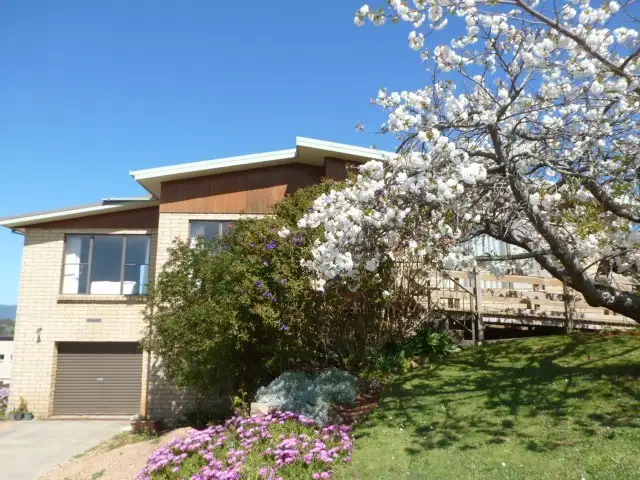Main view of Homely house listing, 14 Hedley Street, Scottsdale TAS 7260