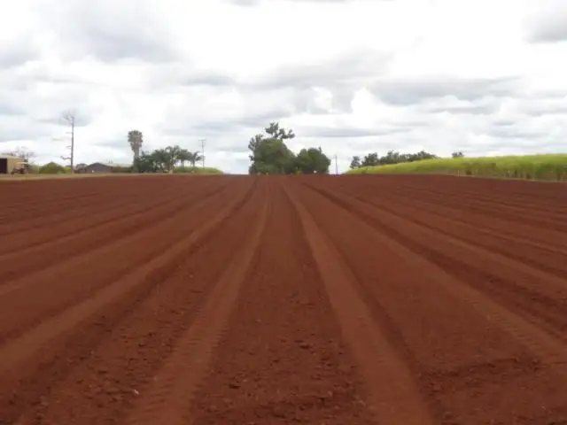 LOT 35 GOODWOOD ROAD, Redridge QLD 4660