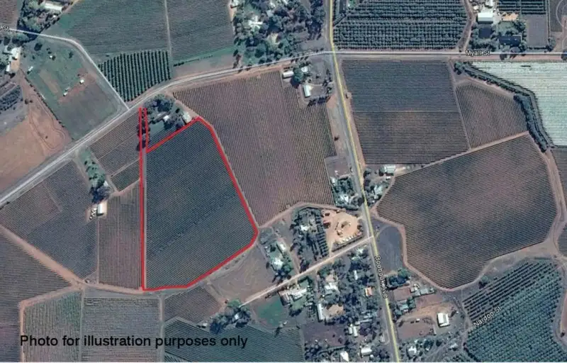 Main view of Homely rural property listing, LOT 2, 249 Myall Street, Cardross VIC 3496