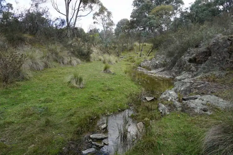 308 Widgiewa Rd, Carwoola NSW 2620