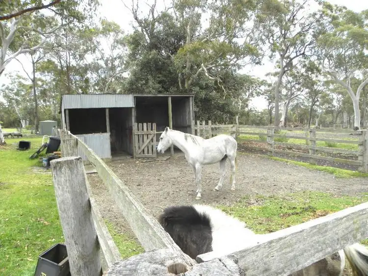 Fourth view of Homely house listing, 597 Sussex Inlet Rd, Sussex Inlet NSW 2540