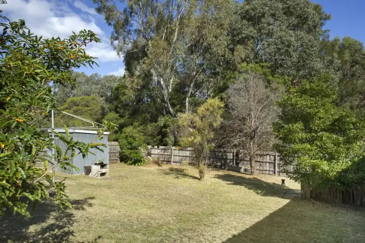 Sixth view of Homely house listing, 56 Cadorna Street, Box Hill South VIC 3128