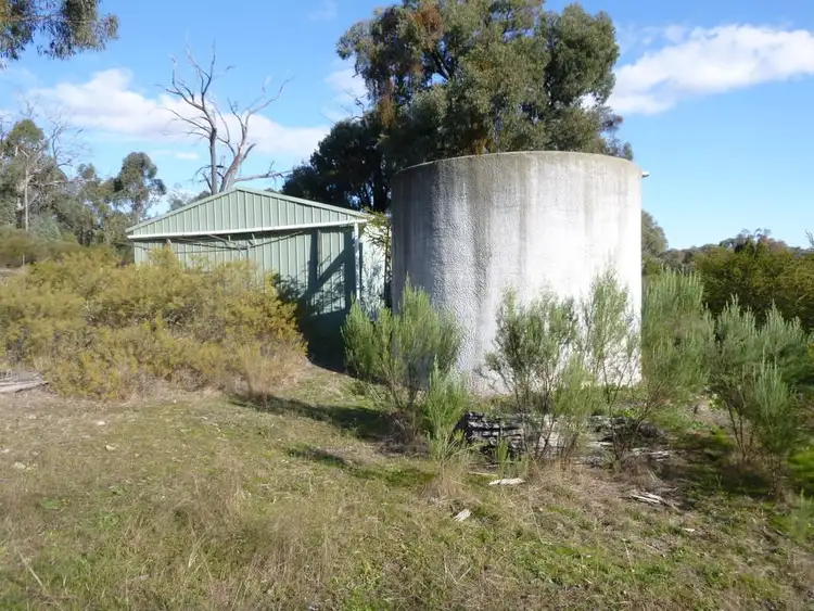Seventh view of Homely rural property listing, 1879 Kangarooby Road, Gooloogong NSW 2805