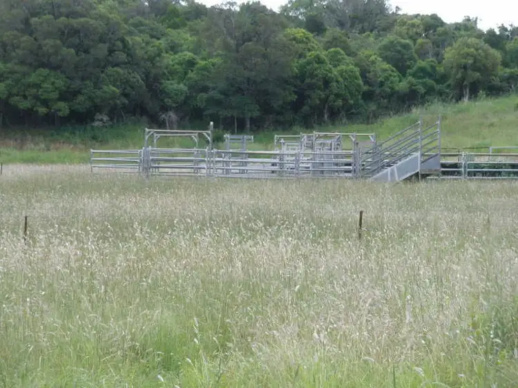 Second view of Homely rural property listing, Lot 438 Dowers Road, Tingoora QLD 4608