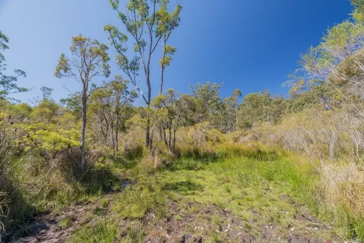 Sixth view of Homely land listing, 389 Wooli Road, Pillar Valley NSW 2462