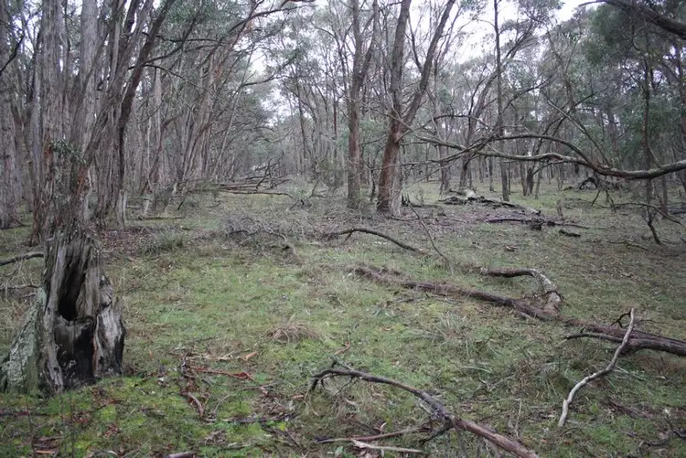 Second view of Homely land listing, C/A 48 King Charlie Lane, Raglan VIC 3373