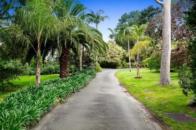 Second view of Homely house listing, 313 Springvale Road, Donvale VIC 3111