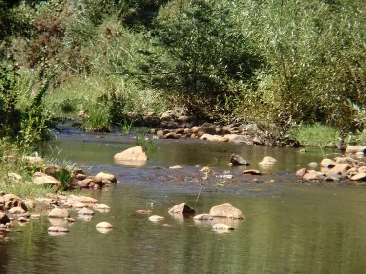 Fifth view of Homely rural property listing, Address available on request