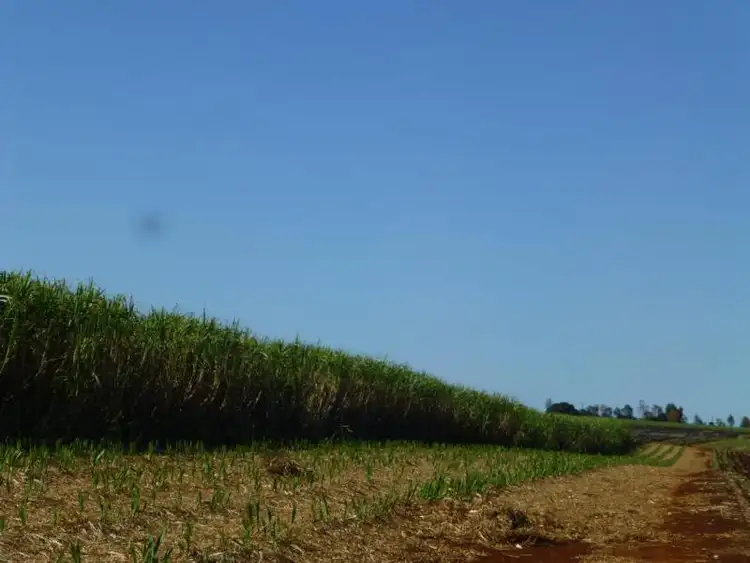 Third view of Homely rural property listing, 108 DOWLINGS ROAD, North Isis QLD 4660