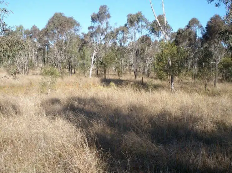 Fifth view of Homely rural property listing, Lot 24 Chinchilla Wondai Road, Ballogie QLD 4610