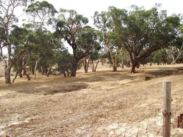 Sixth view of Homely rural property listing, Lot 51 Bullaparinga Crescent, Delamere SA 5204