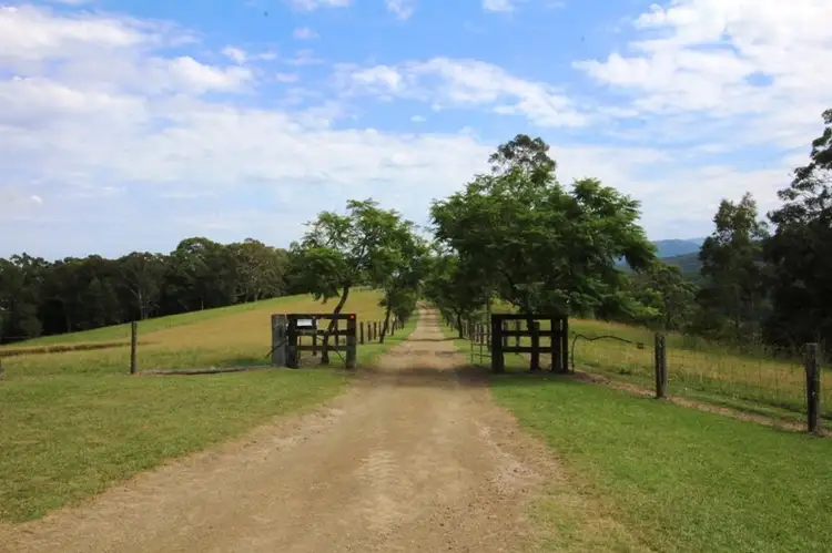 Fifth view of Homely rural property listing, 252 Wangat Trig Road, Dungog NSW 2420