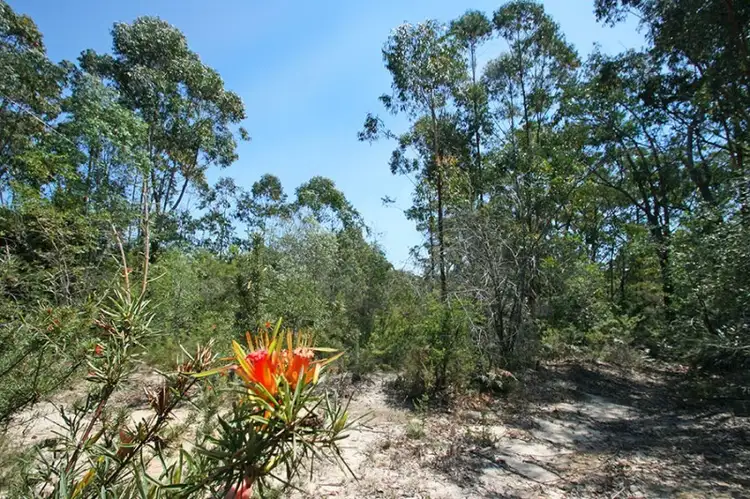 Second view of Homely land listing, Lot 80 Whipbird Drive, Ashby NSW 2463
