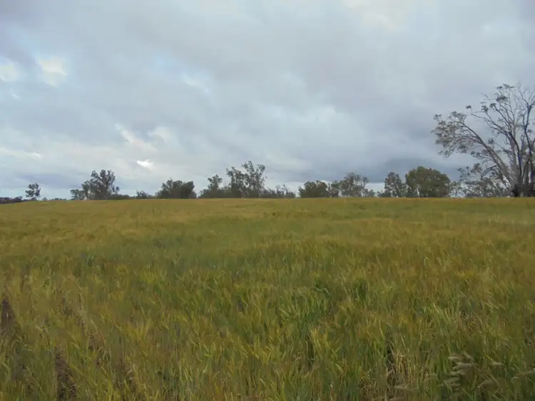 Second view of Homely rural property listing, Lot 1 Sturt Highway, Euston NSW 2737