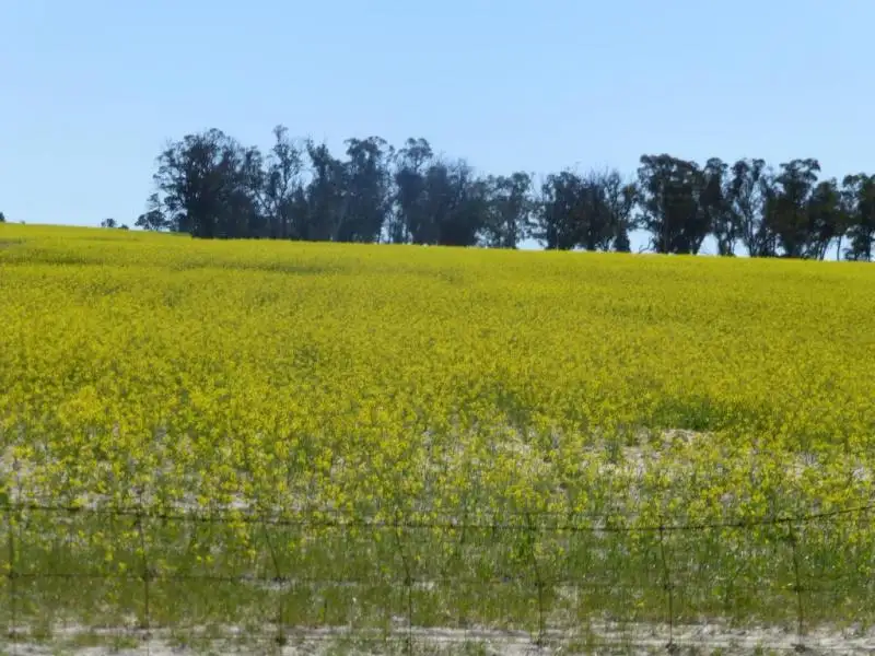 Main view of Homely land listing, Lot 5749 Maynard Road, Quairading WA 6383