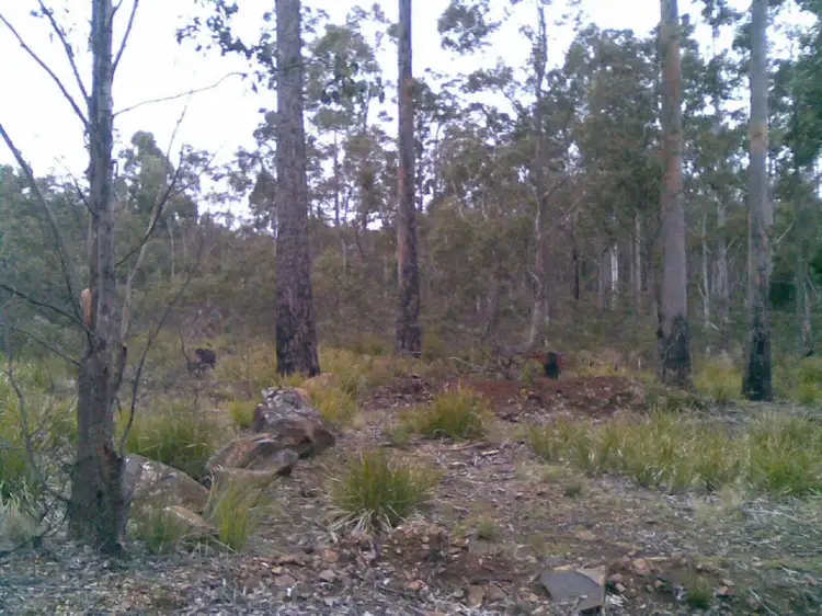 Fourth view of Homely land listing, 123 Lake View Road, Lake Leake TAS 7210