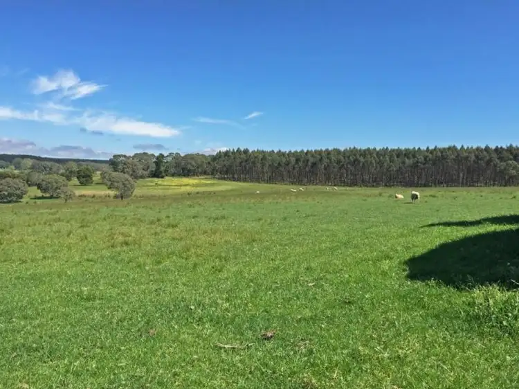 Main view of Homely rural property listing, 3369 Port-Casterton Rd, Digby VIC 3309