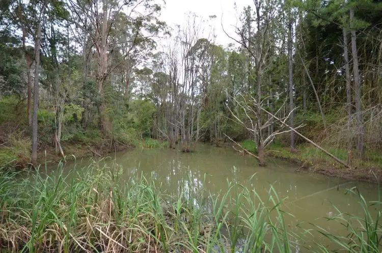 Fifth view of Homely rural property listing, LOT 02 Upper Coomera Road, Illinbah QLD 4275