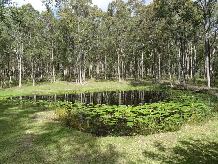 299 Six Mile Road, Eagleton NSW 2324