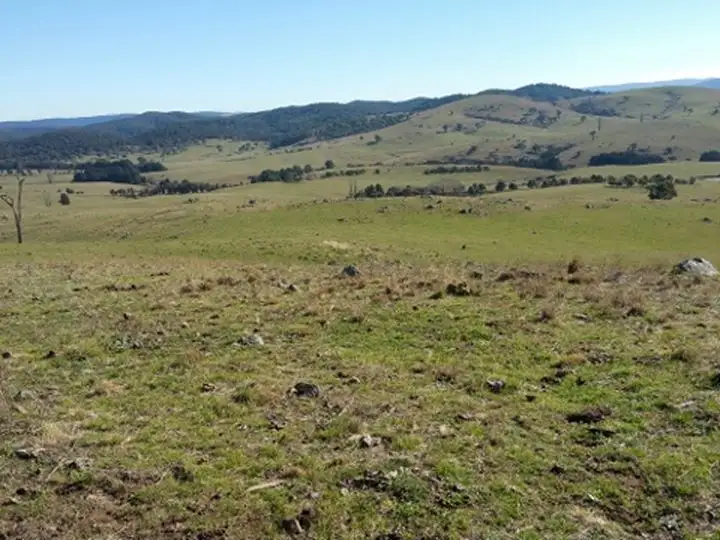Second view of Homely rural property listing, 101 Longview Road BIGHILL, Big Hill NSW 2579
