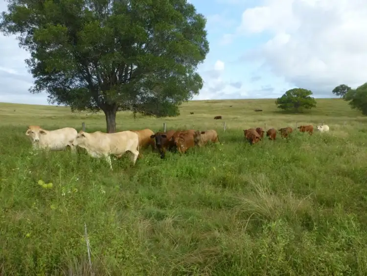 Fourth view of Homely rural property listing, 277 NORTH ISIS ROAD, North Isis QLD 4660