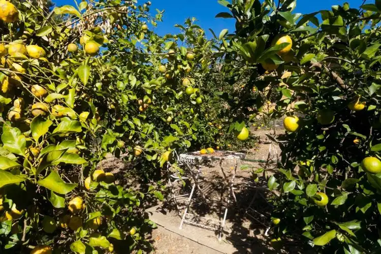 Seventh view of Homely house listing, 73 Fosterton Road, Dungog NSW 2420