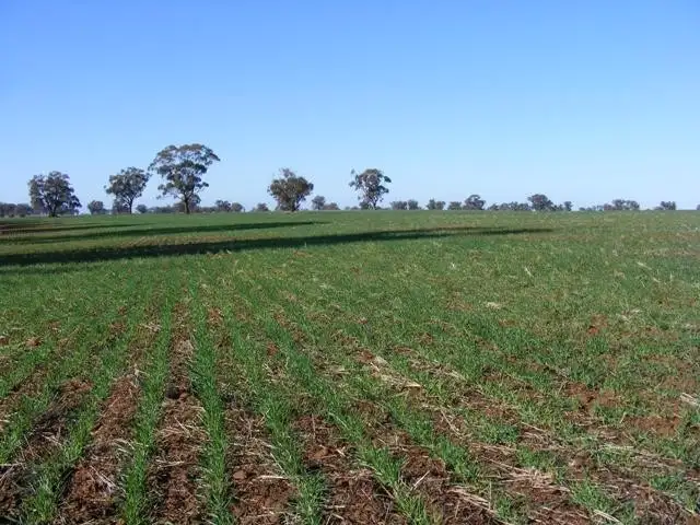 Fifth view of Homely rural property listing, 1376-1386 Centre Road, Moama NSW 2731