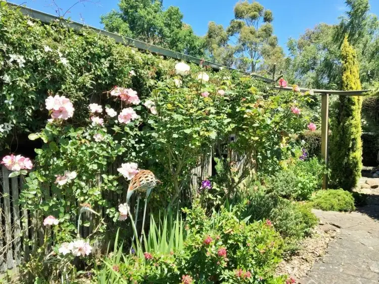 Fourth view of Homely house listing, 55 Sandy Lane, Meander TAS 7304