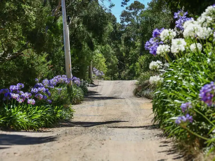 Seventh view of Homely house listing, 39-41 Whitecliffs Road, Rye VIC 3941