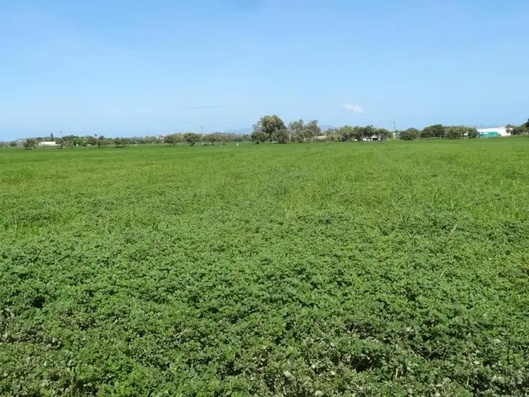 LOT 2/308 Lower Don Road, Bowen QLD 4805