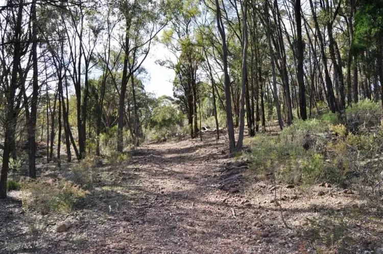 Fourth view of Homely rural property listing, 01072 Blue Springs Road, Gulgong NSW 2852