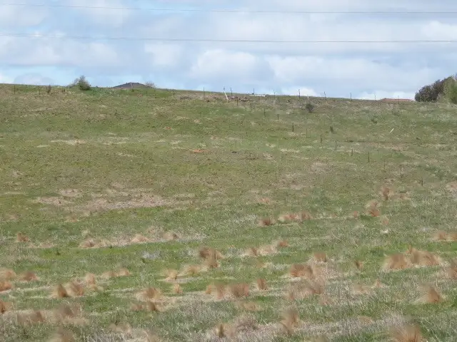 Third view of Homely land listing, Lot 911 'Snowgums' Clyde Street, Goulburn NSW 2580