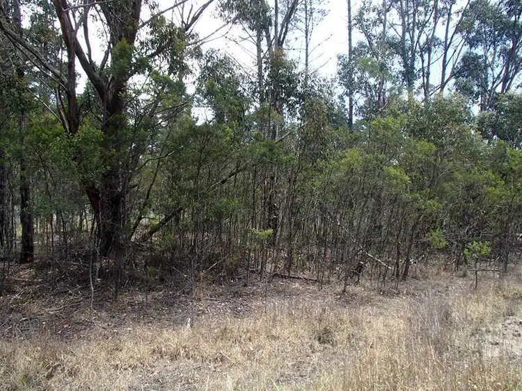 Seventh view of Homely land listing, LOT 163 Ironbark Road, Stanthorpe QLD 4380