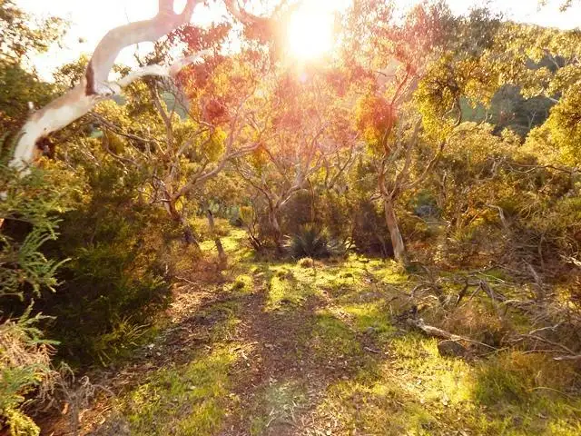 Seventh view of Homely rural property listing, Lot 2 Stockwell Rd, Yankalilla SA 5203