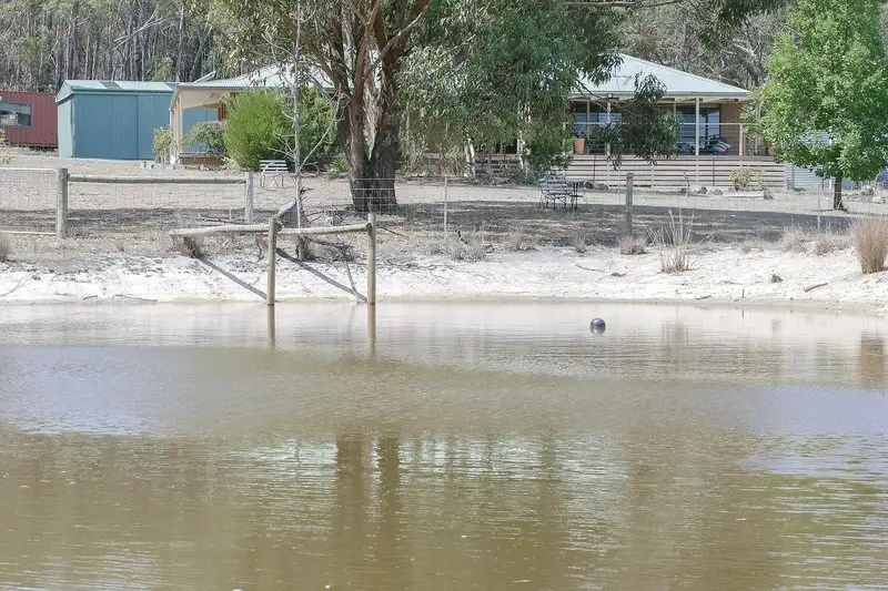 Main view of Homely house listing, 159 Tilligs Road, Scarsdale VIC 3351