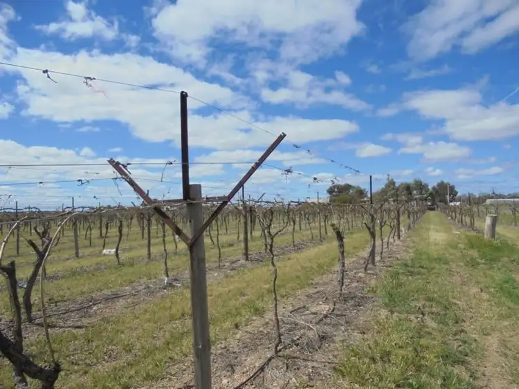 Second view of Homely rural property listing, Lot 2 Taylor Road, Euston NSW 2737