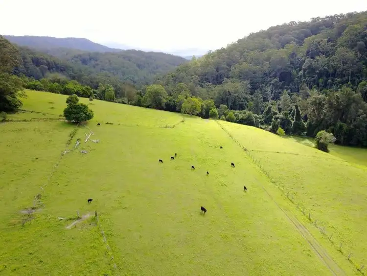 Seventh view of Homely rural property listing, 1664 Chichester Road UPPER CHICHESTER VIA, Dungog NSW 2420