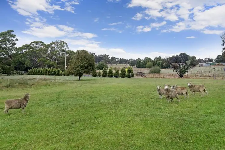 Fifth view of Homely house listing, 465 Glenburnie Road, Eden Park VIC 3757