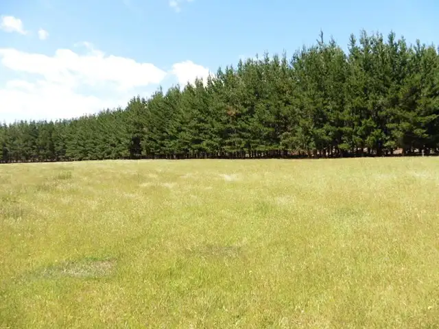 Third view of Homely rural property listing, * Ten Mile Track, Scottsdale TAS 7260