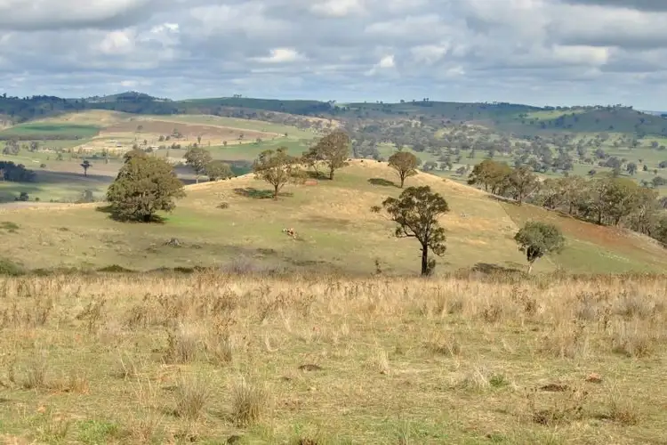 Fourth view of Homely rural property listing, 1326 Errowanbang Road, Errowanbang NSW 2791