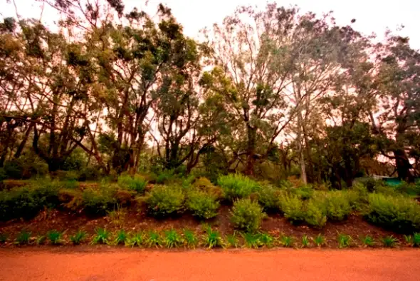 Fifth view of Homely land listing, LOT 14 & 15/252 Cosy Corner Road, Kronkup WA 6330