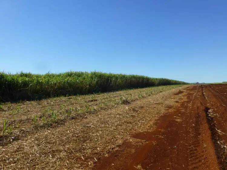 Fifth view of Homely rural property listing, 108 DOWLINGS ROAD, North Isis QLD 4660