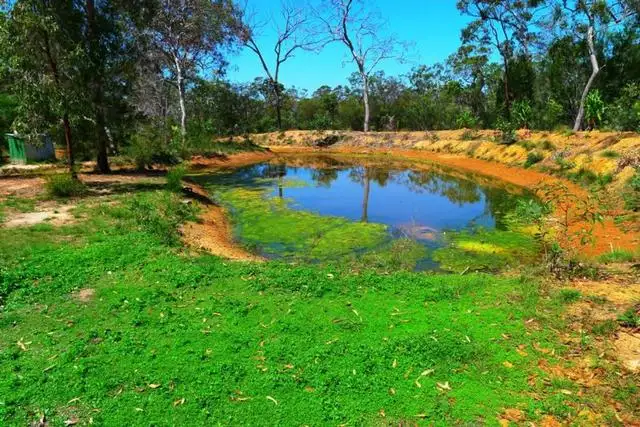 Fifth view of Homely house listing, 8 Island Close, Pacific Haven QLD 4659