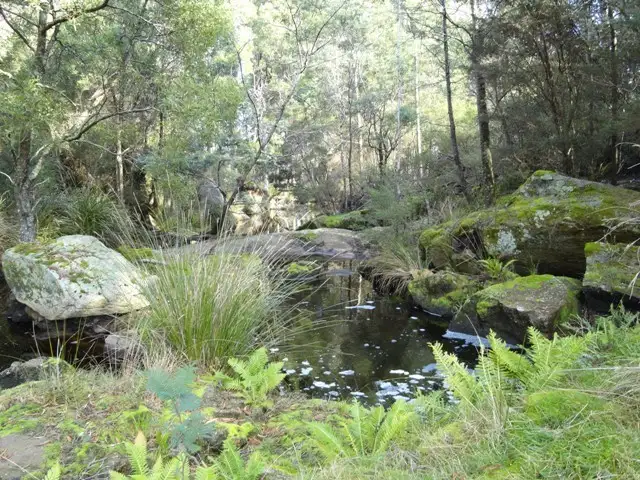 Fifth view of Homely house listing, 1569 Old Waterhouse Road, Waterhouse TAS 7262