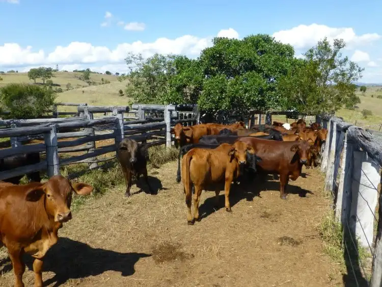 Fourth view of Homely rural property listing, LOT 2 & 124 PEARCES ROAD, Dallarnil QLD 4621