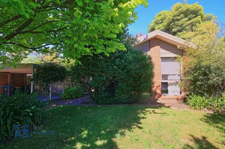 11 Bellfield Drive, Lysterfield VIC 3156